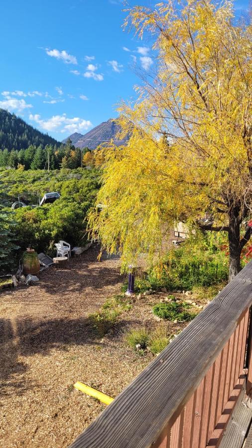 Angel Cottage With A Sauna Or The Cozy With A Jacuzzi Tub, Both Are Studios With A View Of Маунт-Шаста Екстер'єр фото