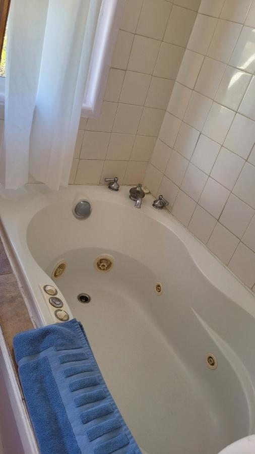 Angel Cottage With A Sauna Or The Cozy With A Jacuzzi Tub, Both Are Studios With A View Of Маунт-Шаста Екстер'єр фото