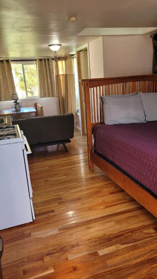 Angel Cottage With A Sauna Or The Cozy With A Jacuzzi Tub, Both Are Studios With A View Of Маунт-Шаста Екстер'єр фото